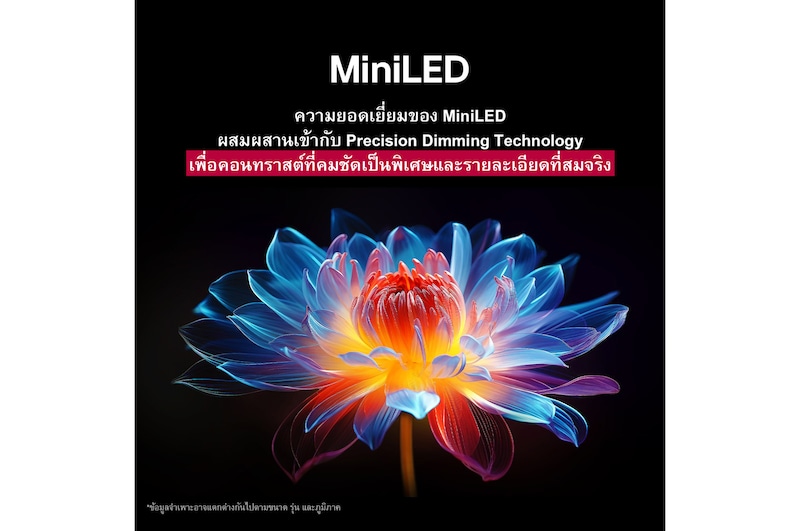 ดอกไม้โฮโลแกรม 3D ในเฉดสีต่างๆ มากมายบนพื้นหลังสีดำ การนิยามและรายละเอียดของดอกไม้แสดงให้เห็นถึงความสามารถของ QNED MiniLED ในการรังสรรค์ภาพด้วยสี ความสว่าง และคอนทราสต์ที่ยอดเยี่ยม หัวข้อพูดถึงการที่ MiniLED ช่วยเพิ่มความคมชัดและให้คอนทราสต์ที่โดดเด่น