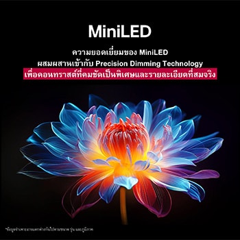 ดอกไม้โฮโลแกรม 3D ในเฉดสีต่างๆ มากมายบนพื้นหลังสีดำ การนิยามและรายละเอียดของดอกไม้แสดงให้เห็นถึงความสามารถของ QNED MiniLED ในการรังสรรค์ภาพด้วยสี ความสว่าง และคอนทราสต์ที่ยอดเยี่ยม หัวข้อพูดถึงการที่ MiniLED ช่วยเพิ่มความคมชัดและให้คอนทราสต์ที่โดดเด่น