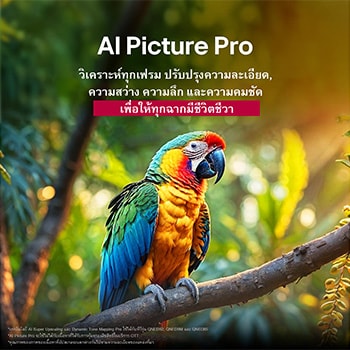 มีนกแก้วบนกิ่งไม้ในสีสันสดใส หัวข้อพูดถึงวิธีที่ LG AI Picture Pro ปรับปรุงภาพให้ดีขึ้นอย่างน่าประทับใจ ทั้งในด้านความละเอียด ความสว่าง มิติความลึก และความคมชัดของฉาก