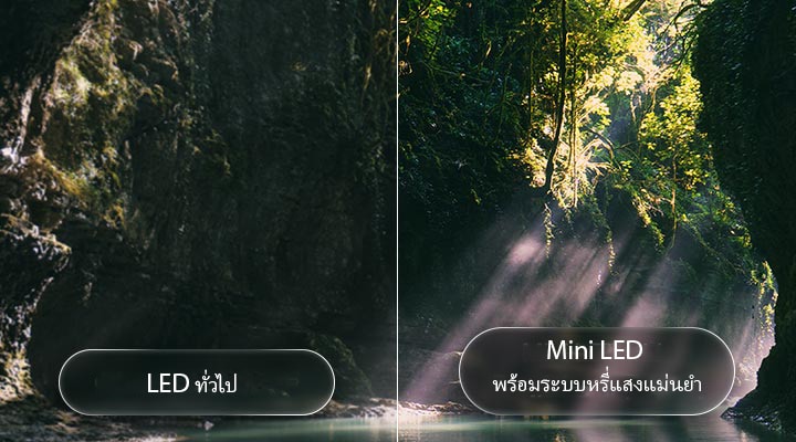 LG QNED evo AI QNED85 Mini LED นำเสนอเทคโนโลยี Mini LED พร้อมระบบหรี่แสงแม่นยำ ในฉากป่าที่แบ่งออกเป็นสองส่วน เปรียบเทียบกับ LED ทั่วไปที่ให้สีดำที่ลึกกว่าและคอนทราสต์ที่ละเอียดกว่า เนื่องจากแสงแดดส่องผ่านต้นไม้ทำให้ภาพคมชัดและมีมิติมากขึ้น