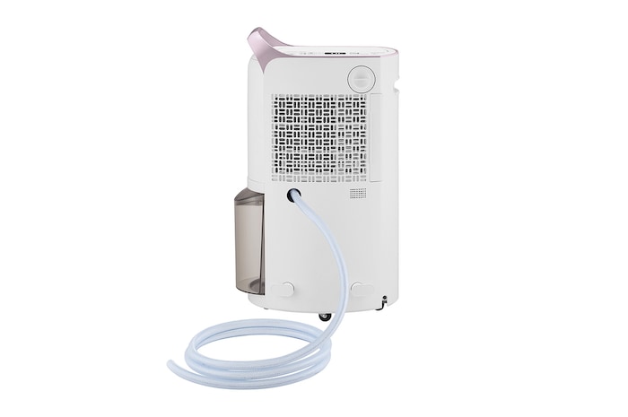 มุมมองด้านซ้าย