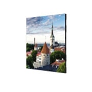 LG P1.5 1,000 nits LG LED Curve Series for Indoor, LSCB015
