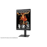 LG 21.3'' 3MP IPS Diagnostic Monitor, 21HQ513D-B