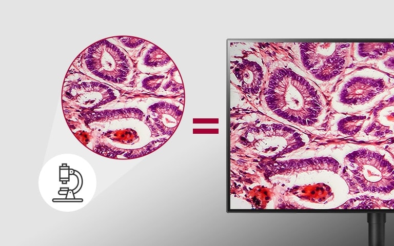 pathology mode offering imaging results as detailed and accurately colored as seen under a microscope