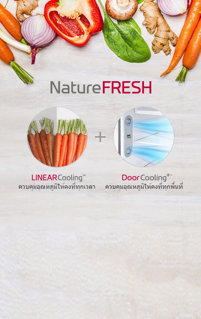 ตู้เย็น LG สามารถเก็บอาหารสดได้ยาวนาน
