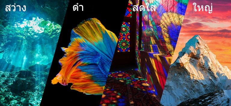 รายละเอียดต่าง ๆ ด้วย QNED MiniLED ของ LG ที่กำลังแสดงสีดำที่คมชัดและสีสว่างสดใส