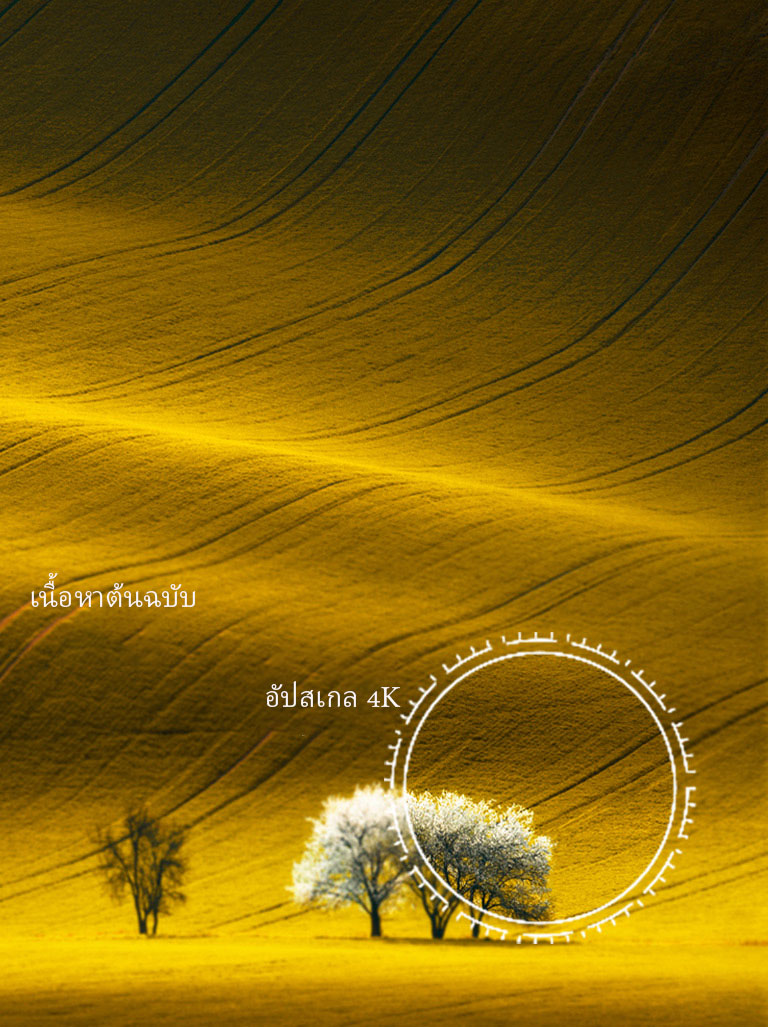 A view of nature, compared picture quality มุมมองของธรรมชาติ เปรียบเทียบคุณภาพของภาพเนื้อหาที่ไม่ใช่ 4K และเนื้อหา 4K ที่อัปสเกลnon 4K content and upscaled 4K content.