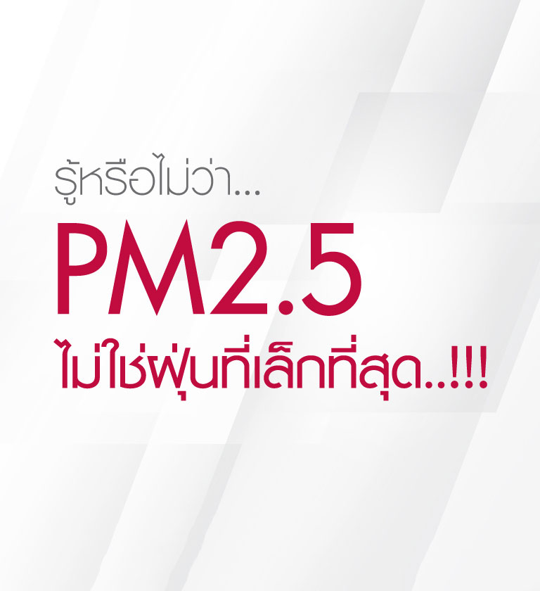 ฝุ่นละออง PM 2.5