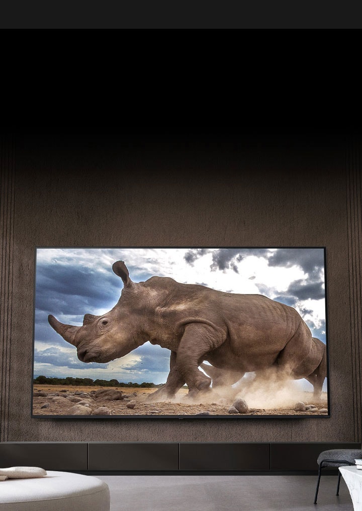 A rhinoceros in a safari setting is shown on an Ultra Big LG TV, mounted on the brown wall of a living room surrounded by cream-colored modular furniture.