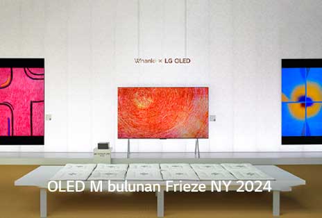 OLED M üzerinde gösterilen sanat eseri.