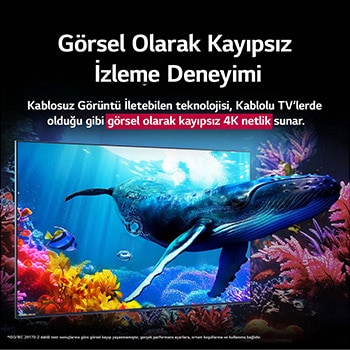 Okyanusta mercanların arasına yerleştirilmiş QNED9M ekranından izleyiciye doğru yüzen bir balina. Metin, görsel kayıpsız 4K kalitesiyle detayların ne kadar etkileyici olduğunu belirtiyor. 