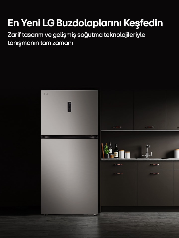 LG Yeni Buzdolapları
