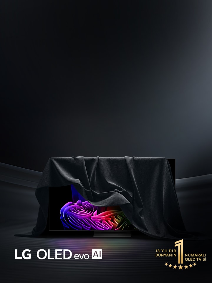 LG TV Lansman