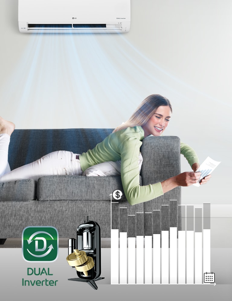 Arka planda bir orman manzarası bulunur ve yandan LG klimanın yarısı görünür. Makinede LG logosu ve Dual Inverter logosu bulunur ve hava kalitesi paneli yeşil renkte yanar. Klimanın önünde temiz hava, para ve enerjiyi gösteren üç simge bulunur. Makinenin sağında Dual Inverter logosu ve Dual Dual Inverter resmi bulunur. Daha sağda bir çubuk grafik vardır. Harcanan parayı gösteren çubuklar, inverterin müşterilere para tasarrufu sağladığını gösterecek şekilde aşağı iner.