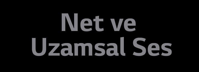 "Net ve Uzamsal Ses" yazısı