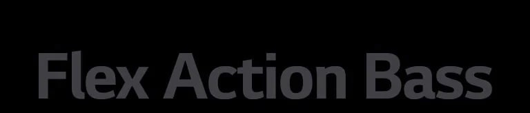 "Flex Action Bass" yazısı