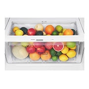 LG A+, Pratik Kapı™, 454 Litre, 70cm Genişlik, No Frost, İnoks, GC-D502HLAM
