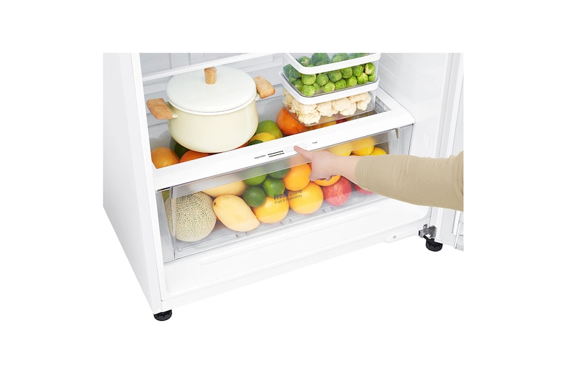 LG No Frost Buzdolabı 547 Litre 78cm Genişlik A++ Enerji Sınıfı Beyaz, GN-C702HQCU