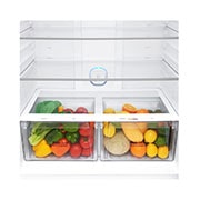 LG No Frost Buzdolabı | 592 Litre Kapasite, GR-H802HLHJ
