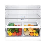 LG No Frost Buzdolabı | 592 Litre Kapasite, GR-H802HQHJ
