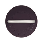 LG XBOOM 360 RP4 Taşınabilir Bluetooth Hoparlör, RP4
