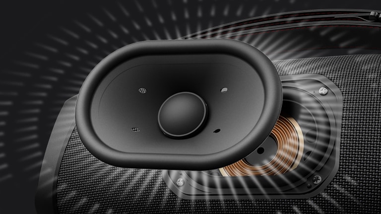 Woofer’ın yakından görünümü.