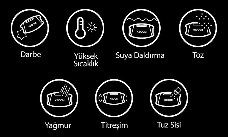 sadece metin.