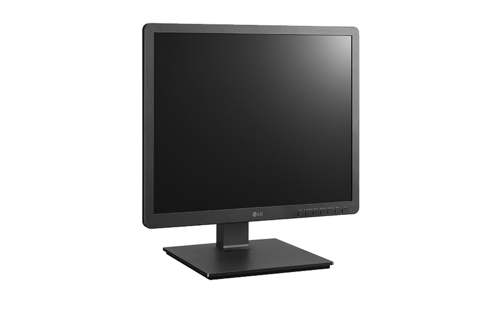 LG 1.3 MP Klinik Değerlendirme Monitörü, 19HK312C-B