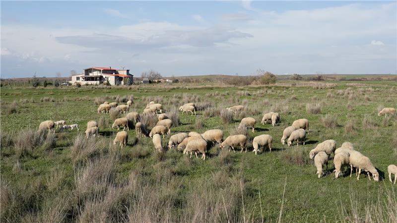 LG’nin Isı Pompası Teknolojilerinde Vizyonu