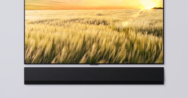 TV ve Soundbar'ın önden görünümü. Gün batımında buğday tarlasını gösteren TV.