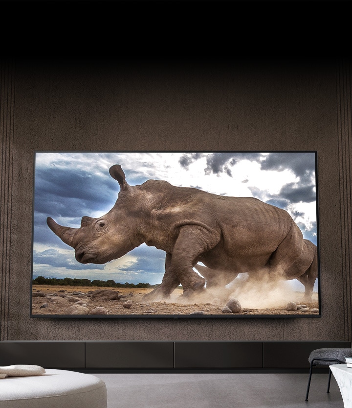 Krem rengi modüler mobilyalarla dolu bir oturma odasının kahverengi duvarına monte edilmiş Ultra Büyük LG TV'de safari ortamında bir gergedan gösteriliyor.