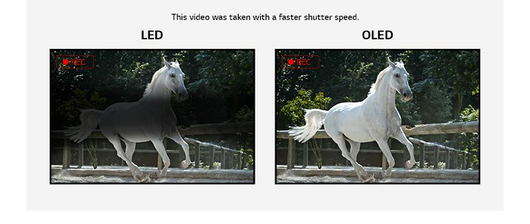 Koşan beyaz bir atın videosunu gösteren titreşimli LED ekran ile titreşimsiz OLED ekranın karşılaştırması. (videoyu oynatın)