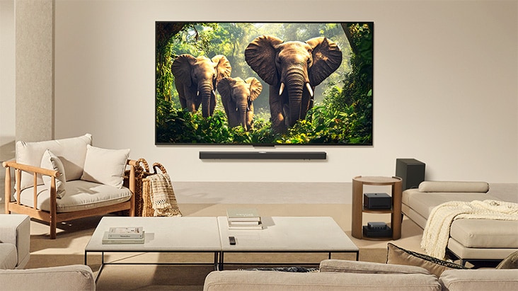 客廳中的一台壁掛式安裝 LG QNED9M TV。Zero Connect Box 與其他周邊裝置一起整齊地擺放在邊桌下方。