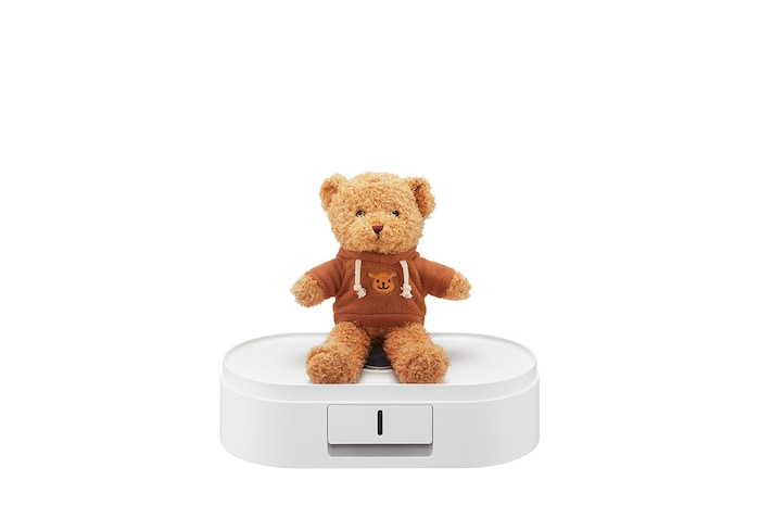 泰迪熊放置在打開的烘物箱