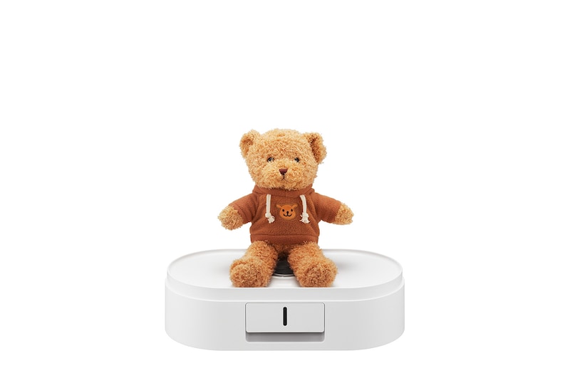 泰迪熊放置在打開的烘物箱