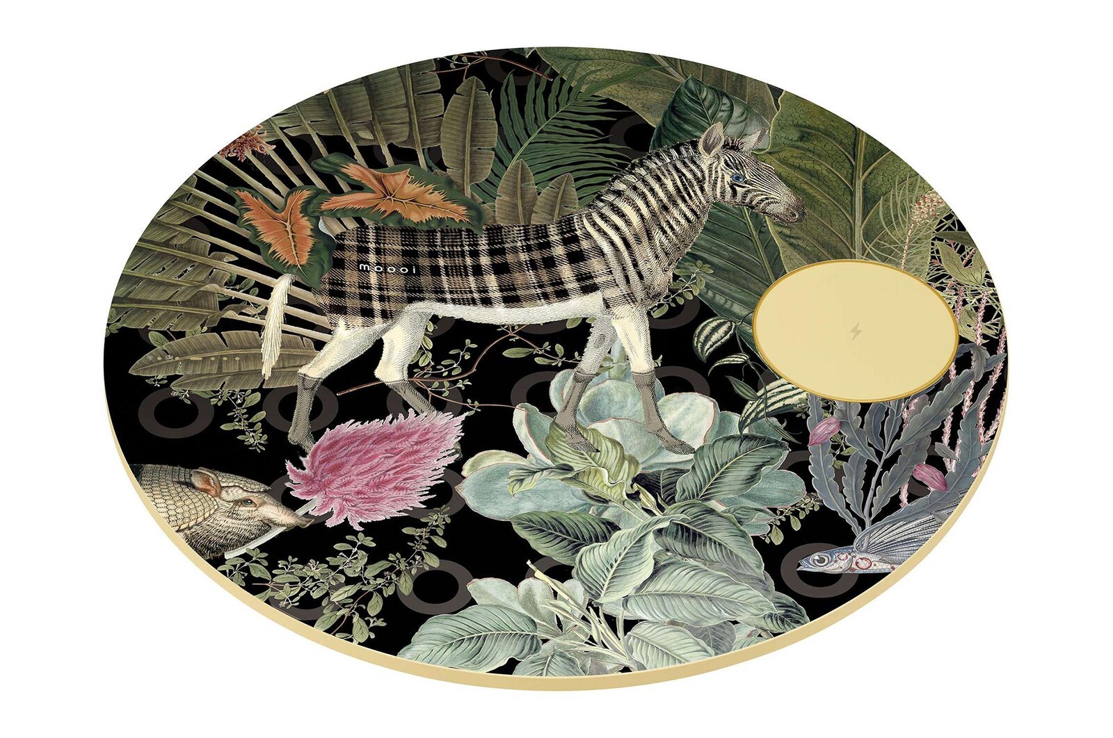 上方_單獨