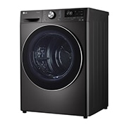 LG 10公斤雙迴轉變頻免曬衣乾衣機｜尊爵黑, WR-100VB