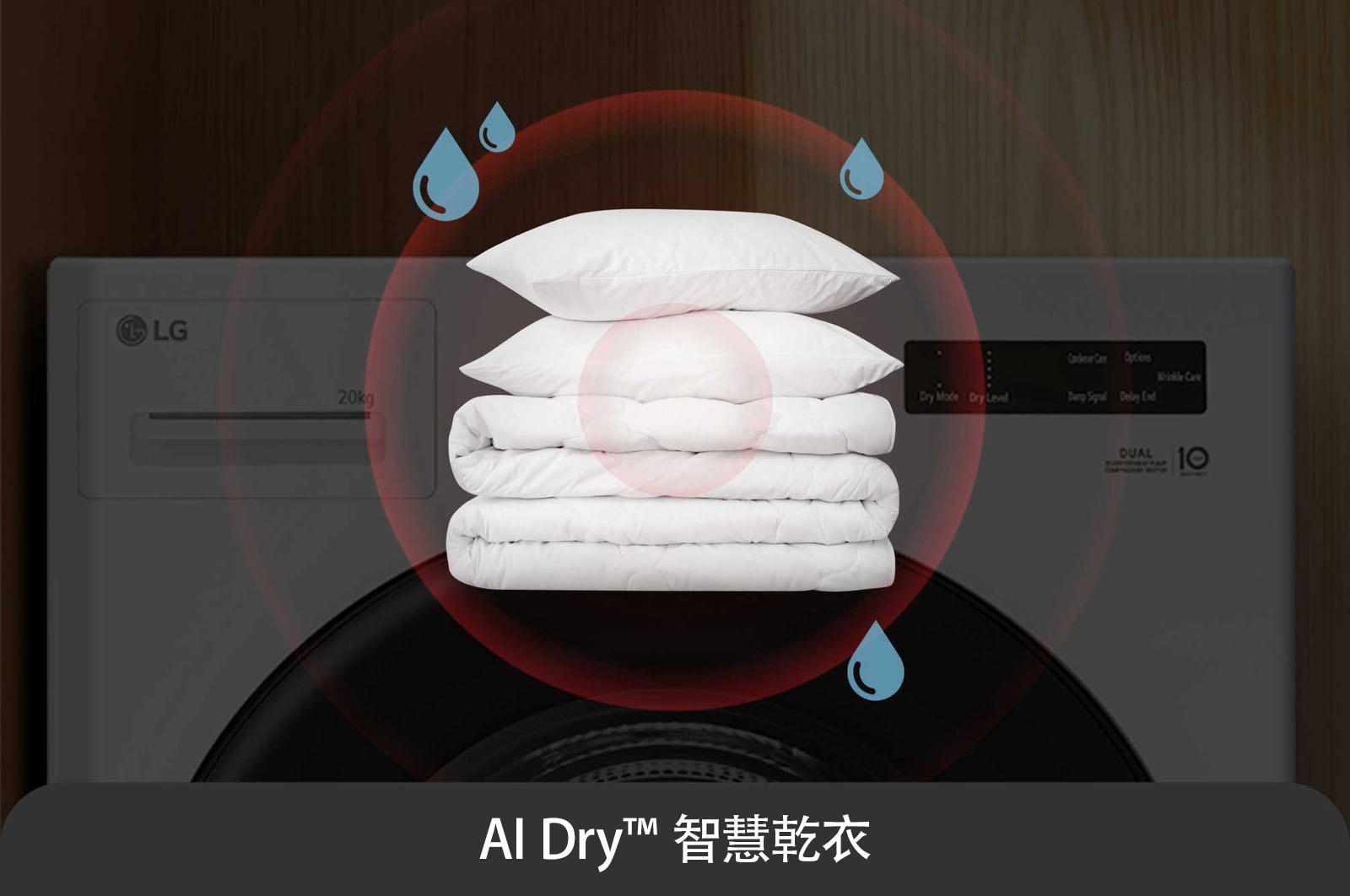 LG 20公斤雙迴轉變頻免曬衣乾衣機｜冰瓷白｜AI Dryer™, WR-20DW