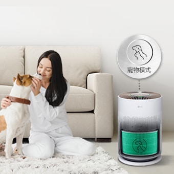 放大顯示 LED 指示燈。