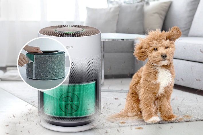 空氣更清新，減少寵物毛髮