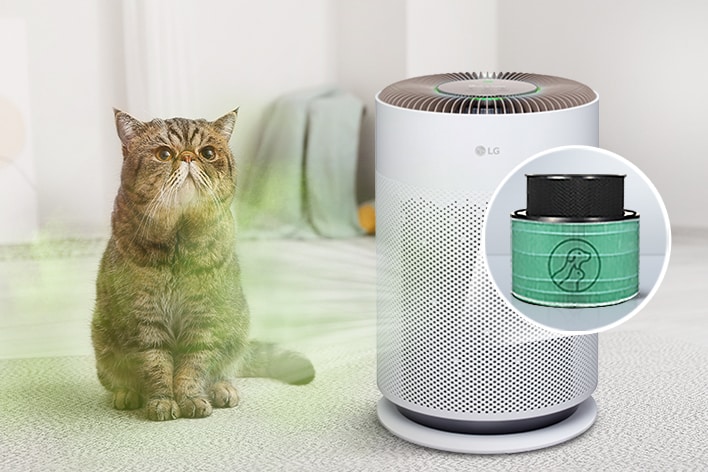 減少寵物異味，提供新鮮空氣