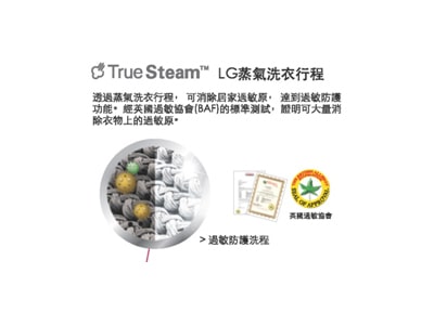LG 蒸氣洗衣行程