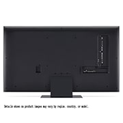 LG 55吋｜LG QNED AI 4K 智慧顯示器｜86系列｜2024, 55QNED86TTA