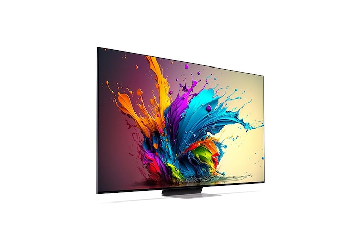 LG 75吋|LG QNED evo AI 4K 智慧顯示器|91系列|2024 (可壁掛), 75QNED91TTA