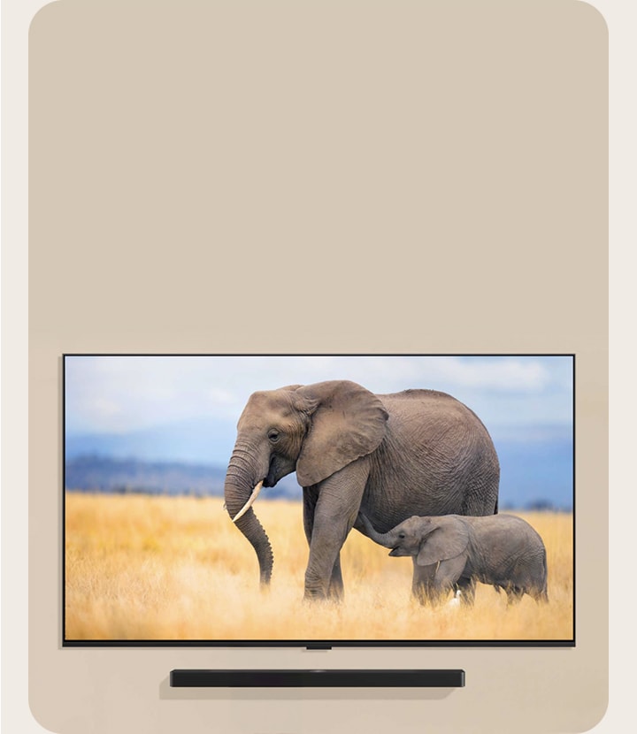 一台 LG TV 安裝在客廳墻壁上，與一台 LG Soundbar 安裝在電視下方。電視顯示著兩頭大象，一個小孩站在電視前方。