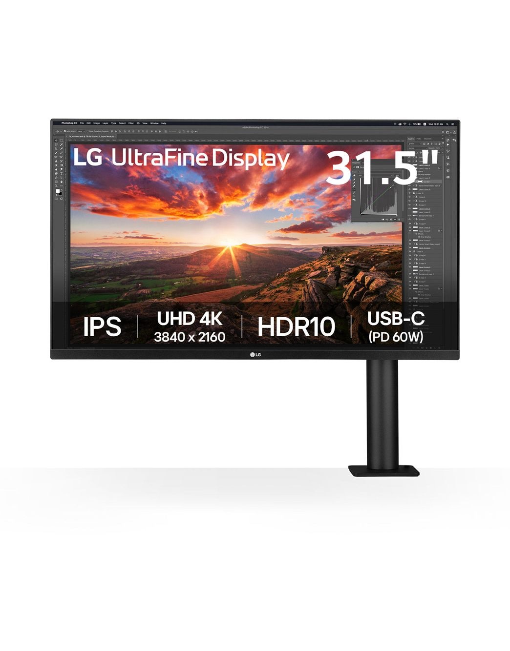 large-m01.jpg