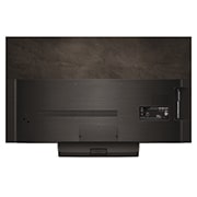 LG 48吋｜LG OLED evo AI 4K 智慧顯示器｜C4極緻系列｜2024, OLED48C4PTA