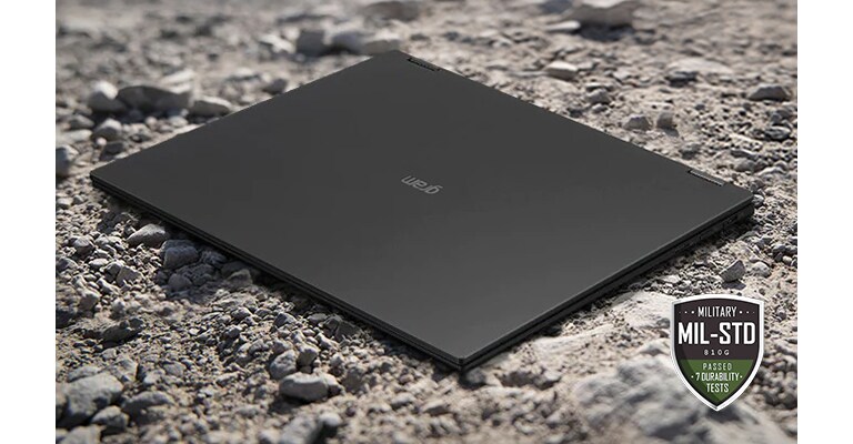 顯示地面上的 gram、沙子和石頭。