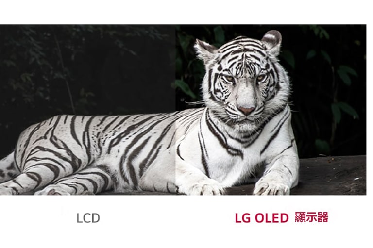 LG OLED 顯示器顯示比傳統 LCD 更棒的黑白對比度。