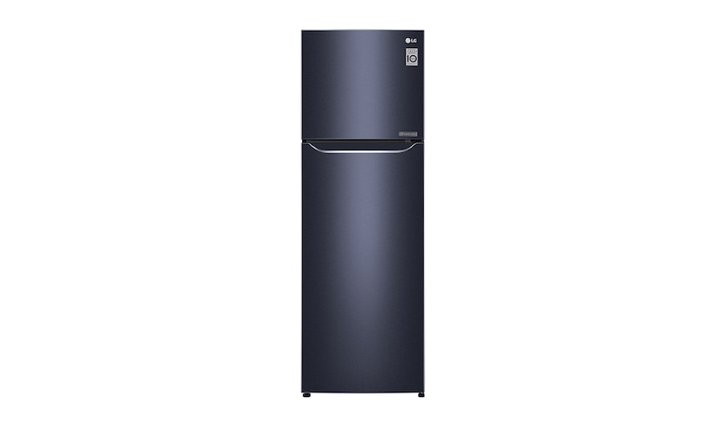 LG 直驅變頻上下門冰箱 / 星曜藍/253公升, GN-L307C